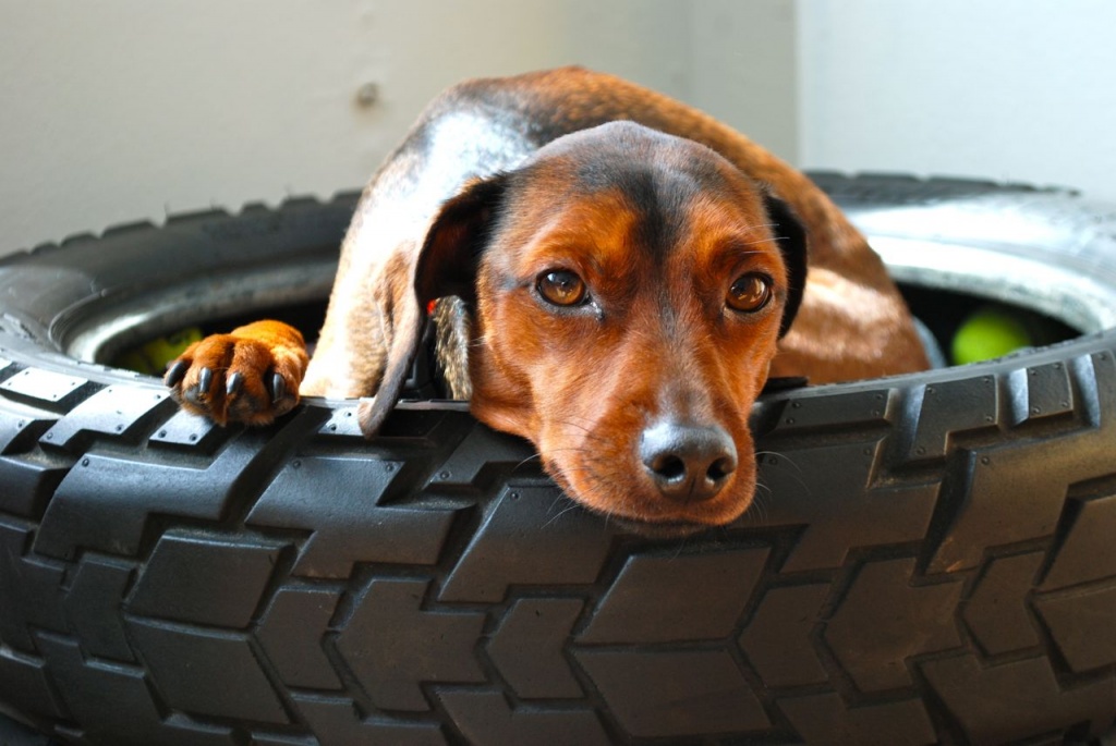 6 awesome ways to reuse your old tires 1 Million Women