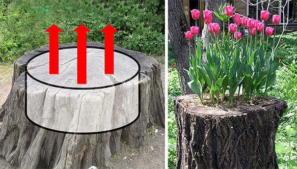 [DIY IDEA] Transform your tree stumps into natural flower