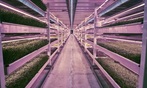 The future of urban farming is hidden in the heart of London’s ...