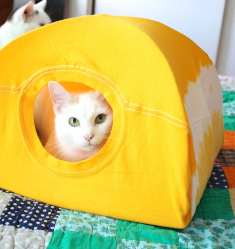 How To Make A Cat Tent Using An Old T-Shirt | 1 Million Women