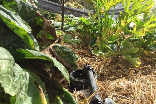 gordon garradd's farm is showing us the benefits of