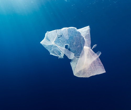 A Plastic Bag Ban For Australia Could Be Around The Corner. Here’s How ...