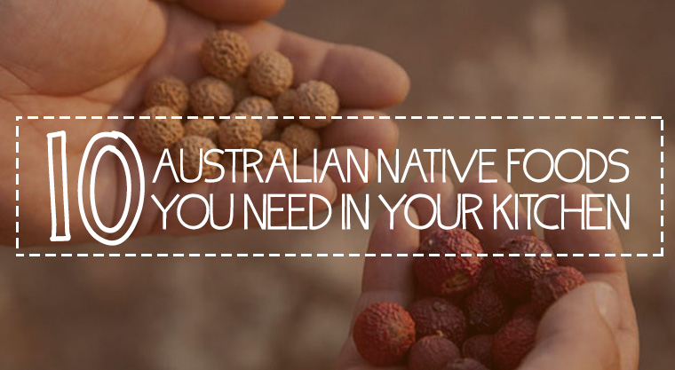 Infographic Top 10 Native Australian Foods You Need In Your Kitchen 1 Million Women