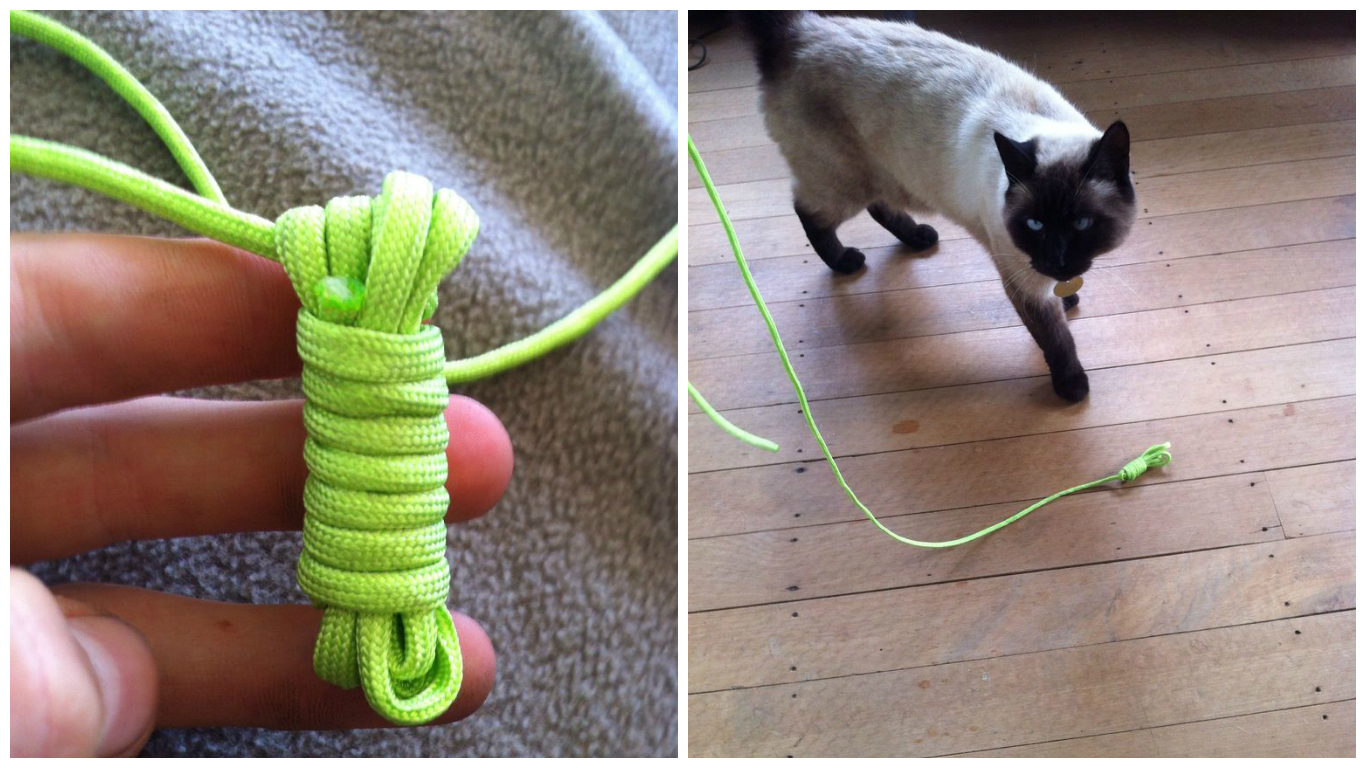 cat rope toy