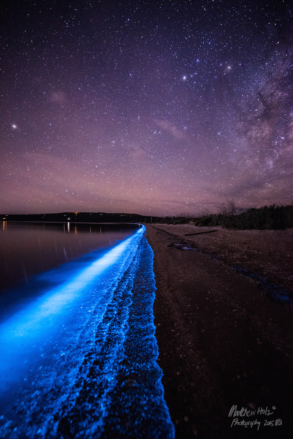 Stars of the sea bioluminescent phytoplankton is a 