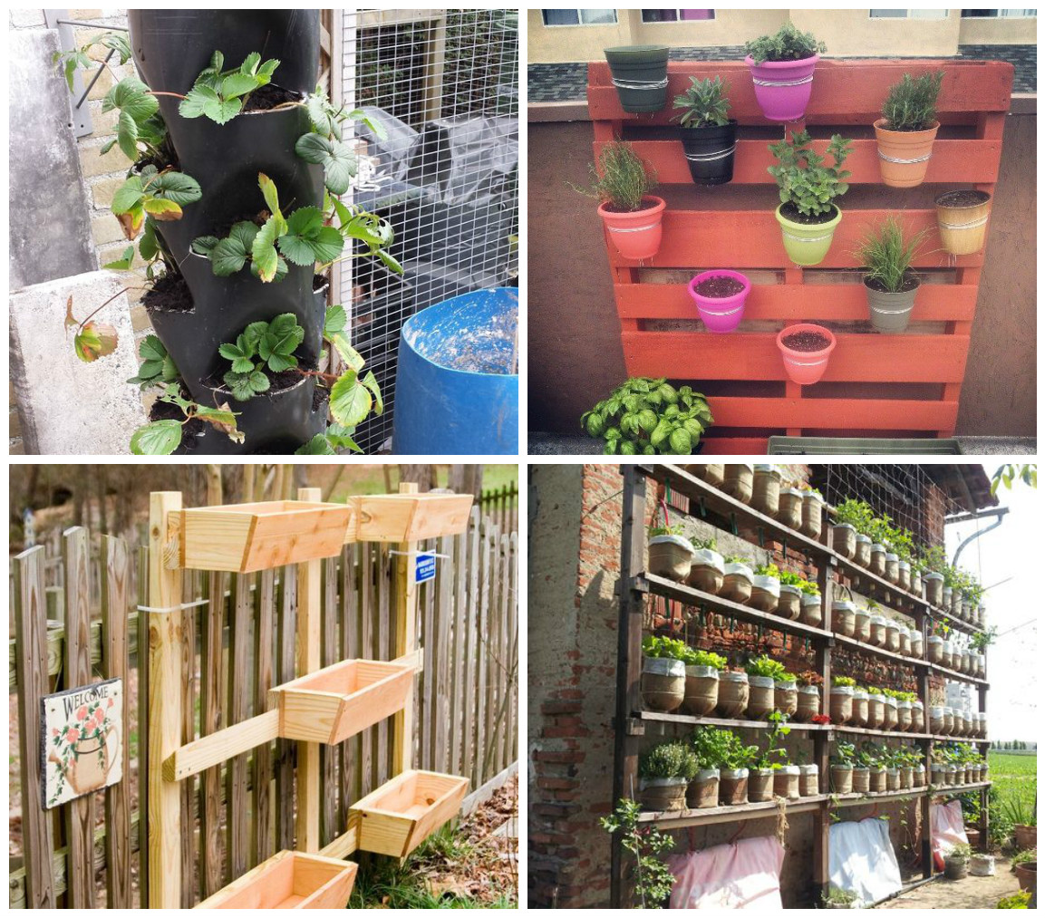 Vertical gardens: benefits, inspiration and DIY | 1 Million Women