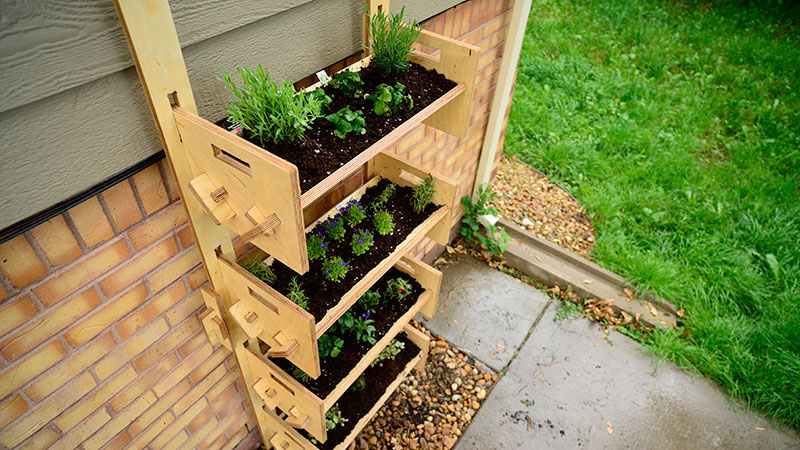 Lock, stock and grow your own vegetables with these incredible backyard farm kits  1 Million Women